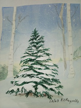 Snow covered evergreen