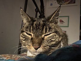 My sweet Nellers, joy of my life